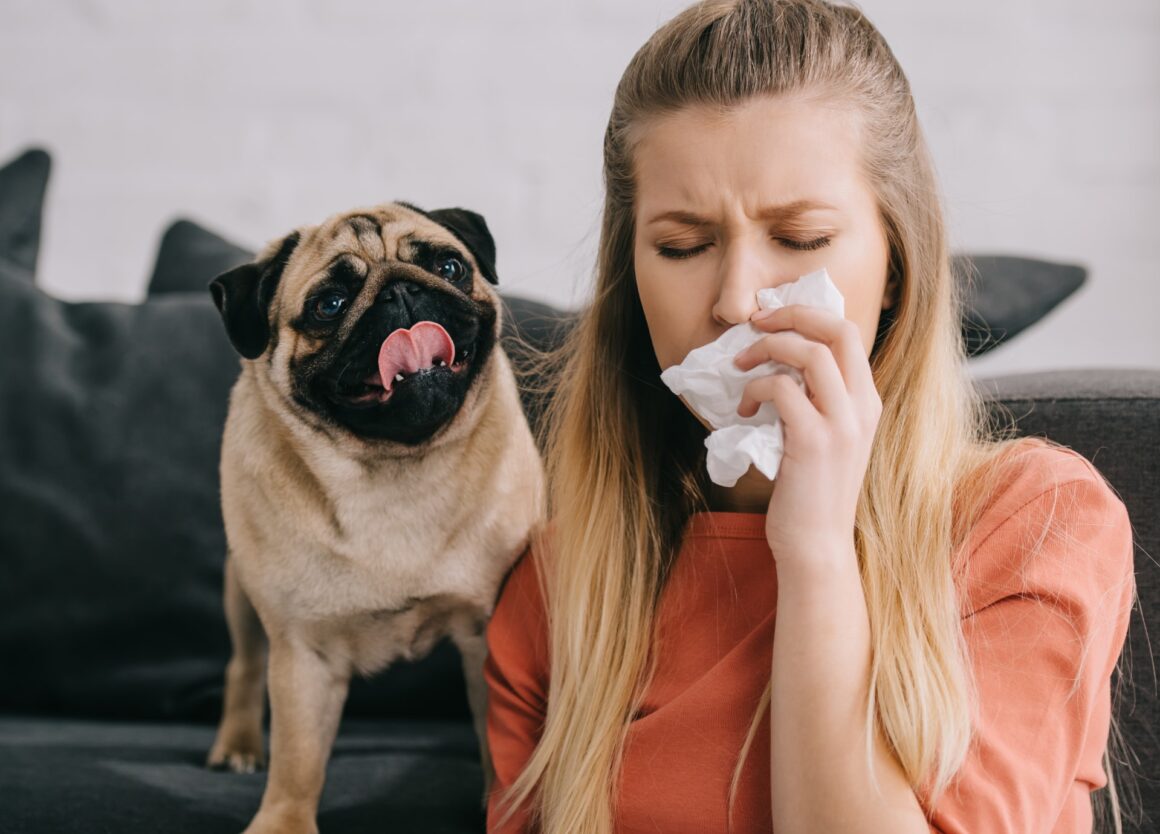 Allergisch voor honden? Dit kun je er tegen doen