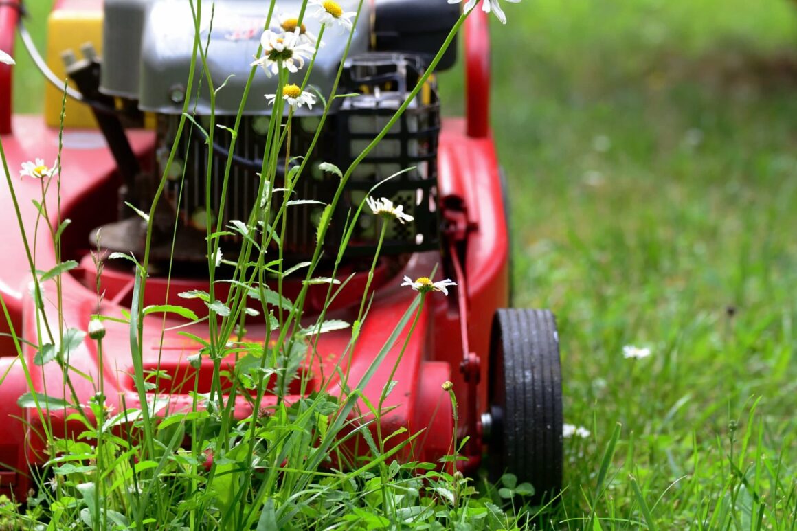 Gazon onderhouden met gras maaier