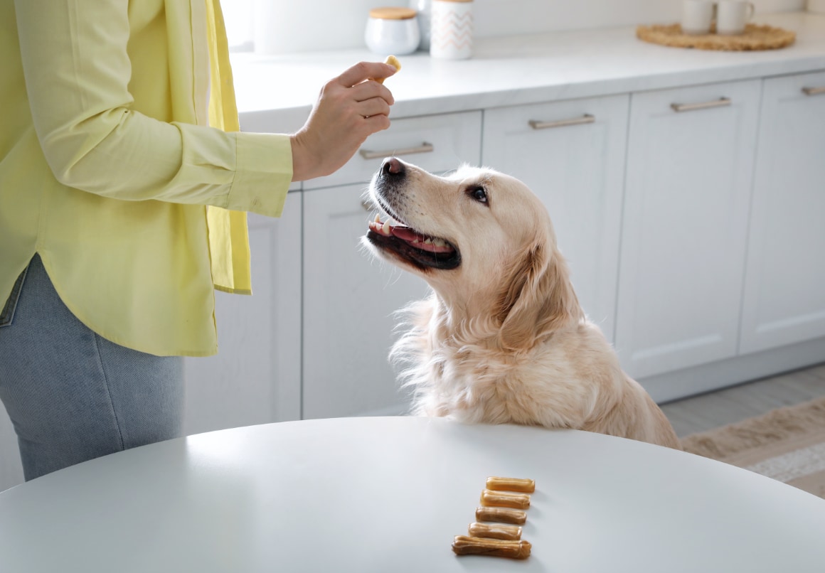 Hoeveel mag een hond snacks eten