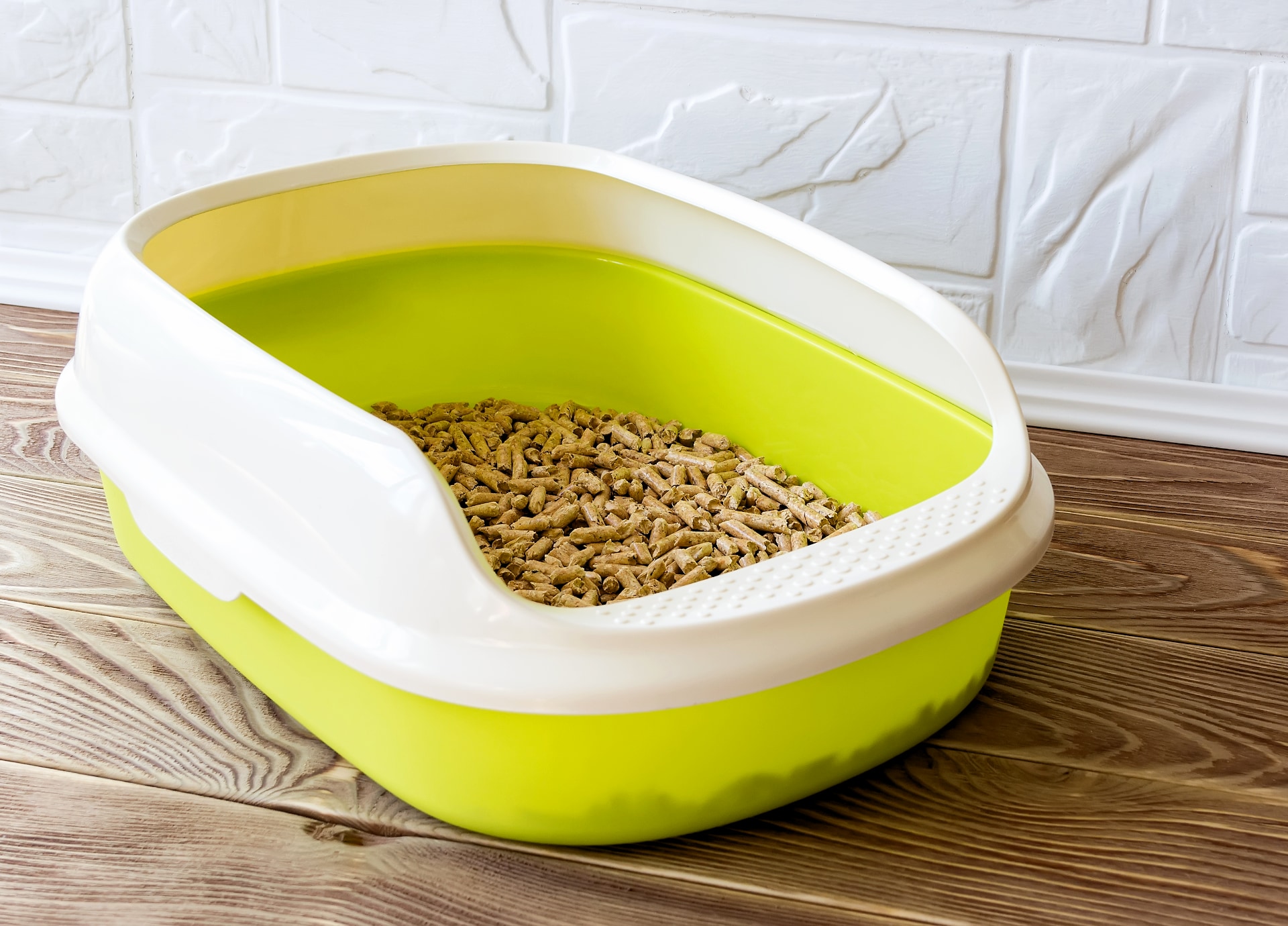 Houtkorrels in de kattenbak tegen stress