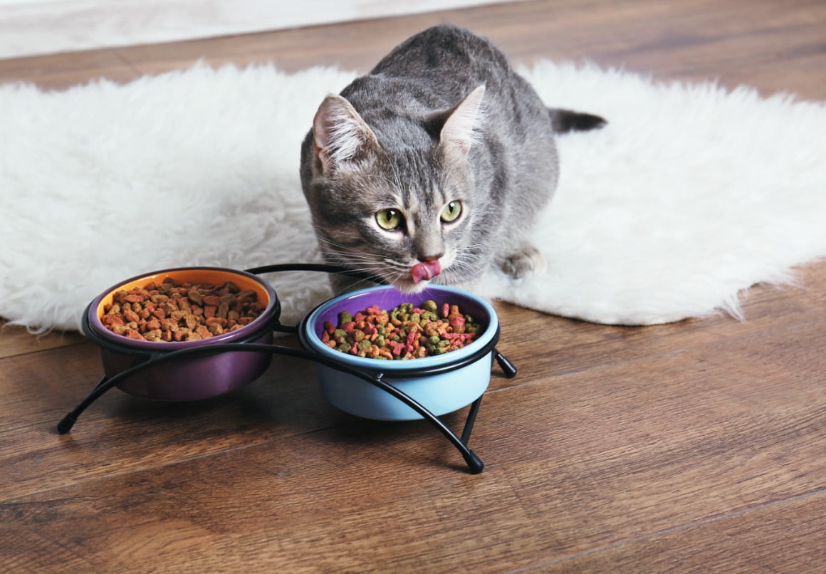 Zet de kattenbak niet vlakbij het eten en drinken