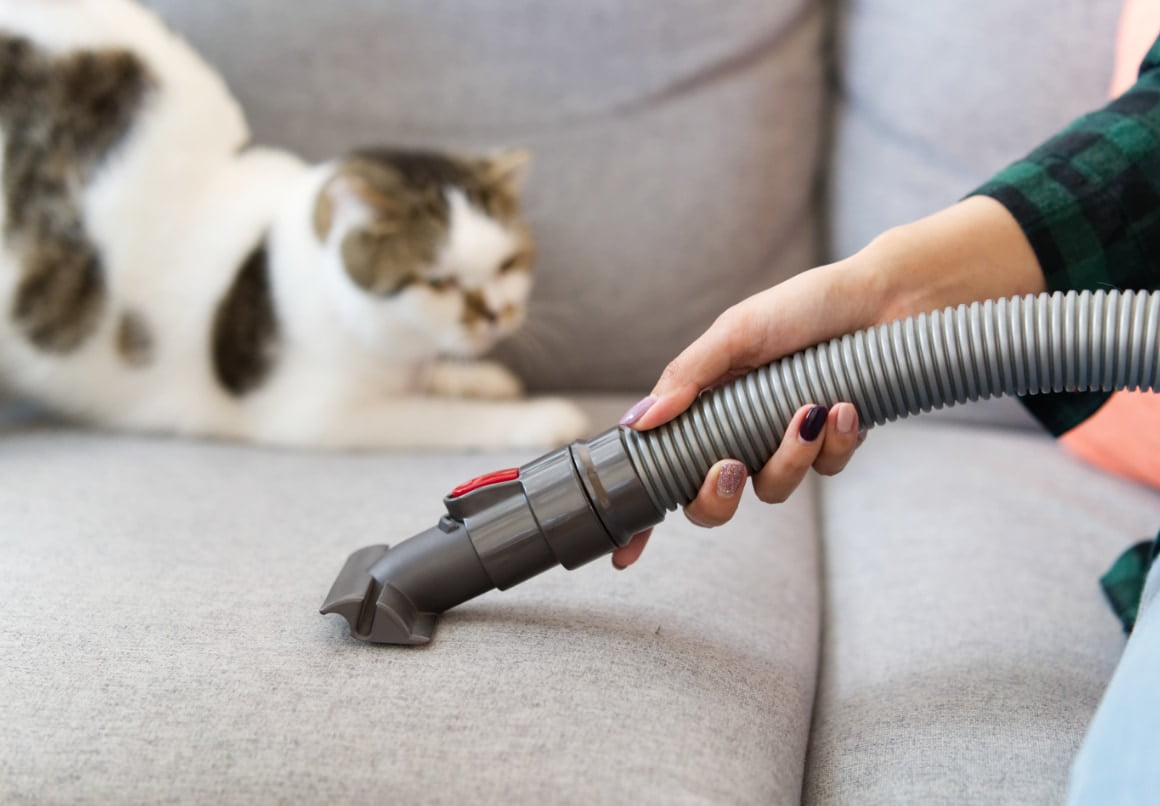 Overmatig veel kattenhaar op de bank stofzuigen
