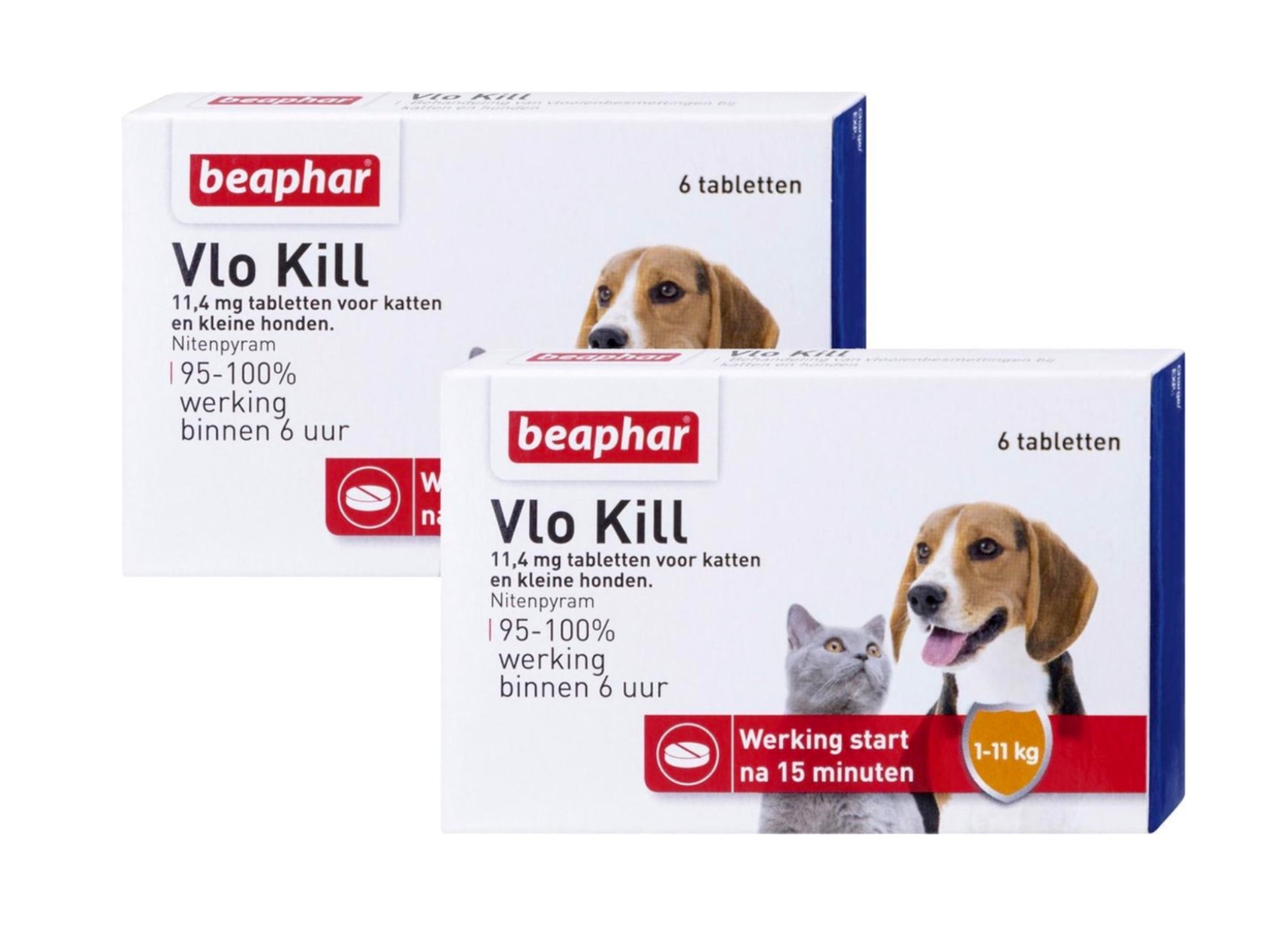 Vlooien bij katten bestrijden met Beaphar Vlo Kill